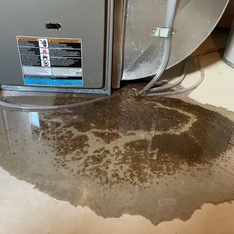 Appliance Leak Cleanup in Roxana, IL